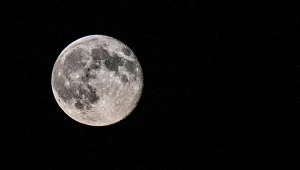 Asteroida uderzy w Księżyc? Naukowcy przewidują skutki dla Ziemi