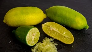 Limonka palczasta cieszy się coraz większa popularnością 