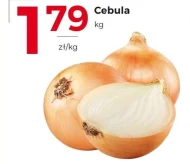 Cebula