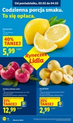 Zakupy, które się opłacają - Lidl