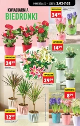 Codzienne okazje blisko ciebie - Biedronka