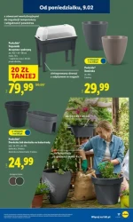 Вигідні пропозиції тижня - Lidl