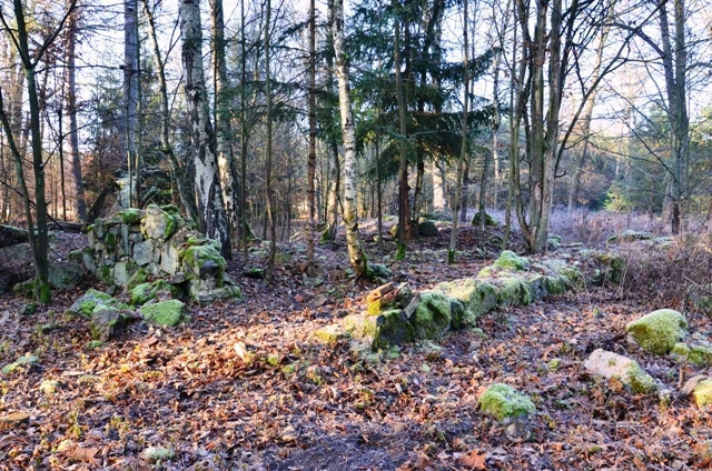 Stare kamienne ruiny porośnięte mchem wśród liściastego i iglastego lasu, otoczone suchymi liśćmi i porannym światłem przesączającym się przez drzewa.