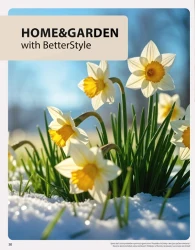 Kupuj taniej - BetterStyle