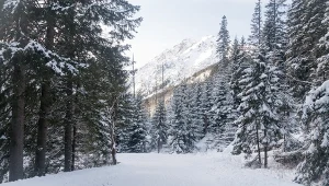 Nowy pracownik TPN skupi się m.in. na przeglądaniu mediów społecznościowych turystów