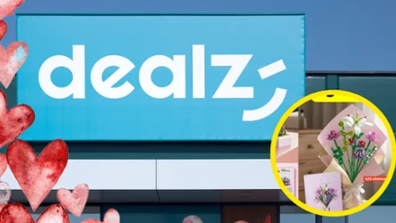 Dealz zaskoczył wszystkich. Te kwiaty kosztują tylko 15 zł