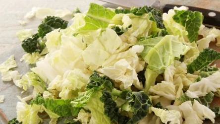 Czy kapusta stożkowa jest zdrowa? Czym różni się od białej?