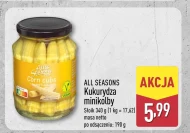 Kukurydza All Seasons