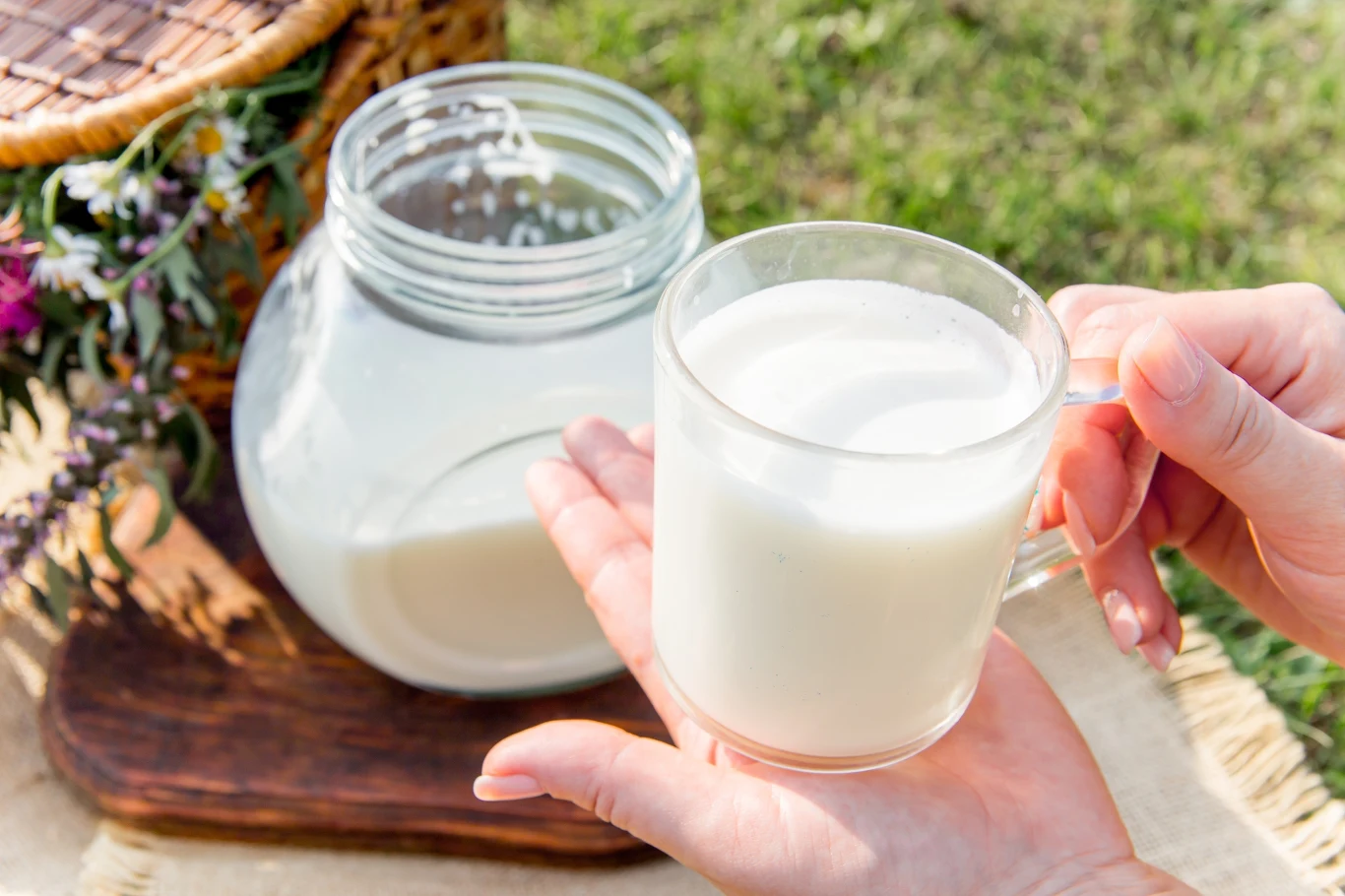 Co jest zdrowsze, mleko krowie czy kozie? Eksperci nie mają wątpliwości Szklanka z mlekiem trzymana w dwóch dłoniach, w tle szklany dzbanek z mlekiem stojący na drewnianej desce, obok koszyk i świeże kwiaty, całość w otoczeniu zielonej trawy na zewnątrz.