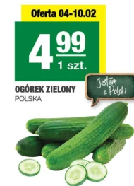 Ogórek Polski