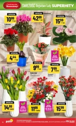 Promocje tu i teraz - POLOmarket