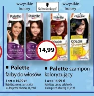 Farba do włosów Palette