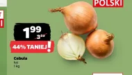 Cebula Polski