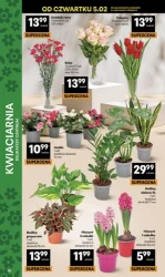 Прилавок за прилавком рекомендує! - Центр делікатесів