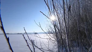 Czysta Polska - odc.248