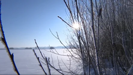 Czysta Polska - odcinek 248