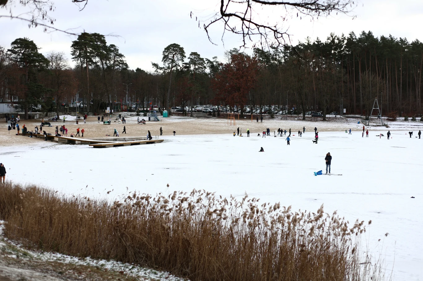 Ludzie spacerują, bawią się i spędzają wolny czas na zamarzniętym jeziorze otoczonym szuwarami i lasem. W tle widać plażę, liczne drzewa iglaste i liściaste, a także grupy osób korzystających z zimowych atrakcji.