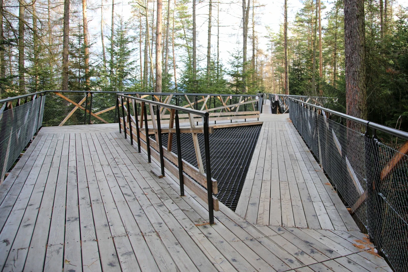 Leśne Molo w Starym Sączu to imponująca i nowoczesna konstrukcja dostępna dla odwiedzających przez cały rok 