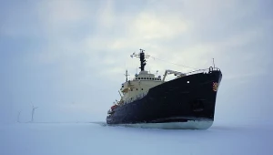 Ogromna szansa dla Finlandii wisi na włosku. Rosną obawy o umowę z USA