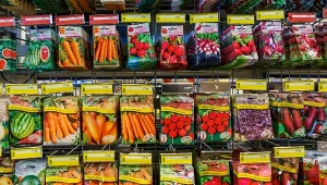 Co znaczą symbole na opakowaniach nasion?