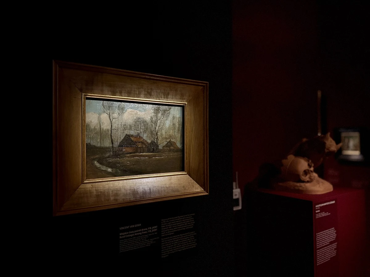 Vincent van Gogh namalował "Wiejskie chaty pośród drzew” w 1883 roku. Mniej więcej 5 lat przed słynnymi "Słonecznikami" Obraz krajobrazowy w drewnianej ramie, ukazujący wiejski dom otoczony drzewami i polami, wyeksponowany w ciemnej sali muzealnej, obok niego eksponaty będące fragmentami ludzkich czaszek.