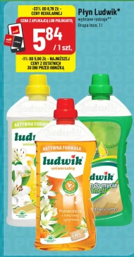 Płyn uniwersalny Ludwik