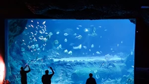 To miasto pojawiło się w rankingu dwukrotnie