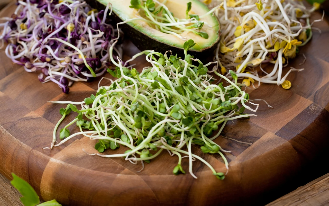 Trzy rodzaje kiełków na drewnianej desce