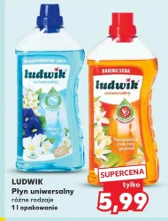 Універсальна рідина Ludwik