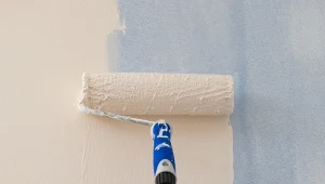 Sprawdzamy, ile fachowcy chcą za pomalowanie ścian w domu w 2026 r.