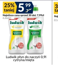 Płyn do naczyń Ludwik