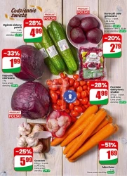 Najbliżej Ciebie! -Dino