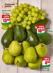 Najbliżej Ciebie! -Dino