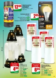 Najbliżej Ciebie! -Dino