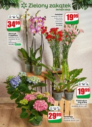 Найближчі до тебе! -Діно!