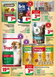 Najbliżej Ciebie! -Dino