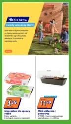 Promocja tygodnia - Action