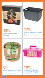 Promocja tygodnia - Action