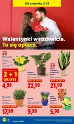 Zakupy, które się opłacają - Lidl