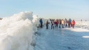 Mrozy, które nawiedziły Polskę mogą przynieść dużo dobrego na wiosnę