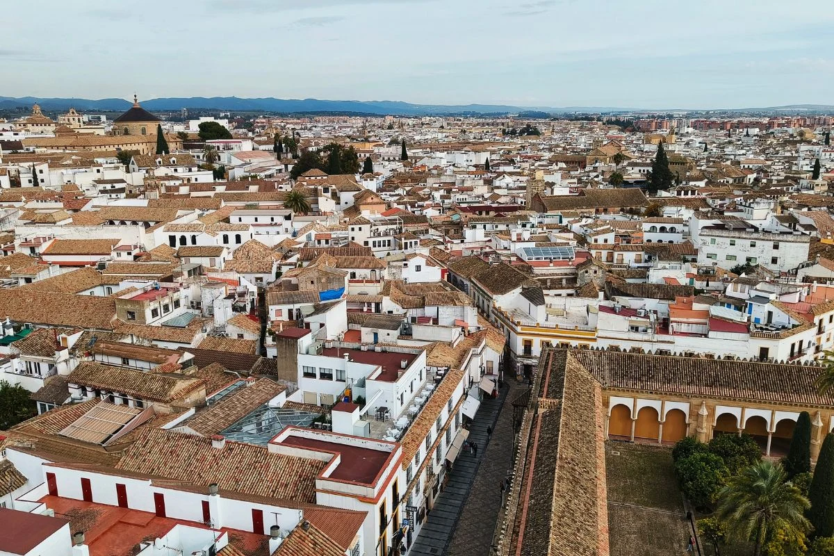Panorama zabytkowego miasta z czerwonymi dachami, wąskimi uliczkami i historycznymi budowlami, otoczona zielenią i rozciągającym się po horyzont krajobrazem.