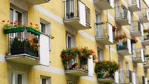 Moda zero waste w ogrodnictwie. Czy Polacy porzucą doniczki na rzecz durszlaków?