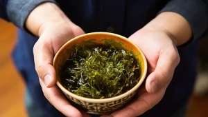 Mech morski coraz częściej trafia do suplementów diety. Czy warto po niego sięgać?