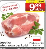 Безкісткова лопатка