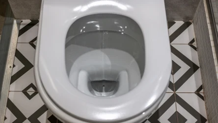 Kamień z toalety usuniesz domowym sposobem. Nie potrzeba drogich środków. 