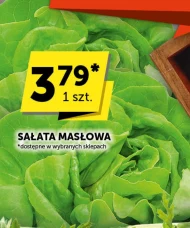 Sałata masłowa