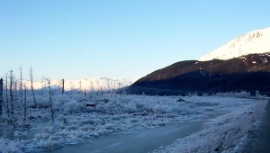 Najgorsze trzęsienie ziemi w historii USA. Tak powstały lasy widmo