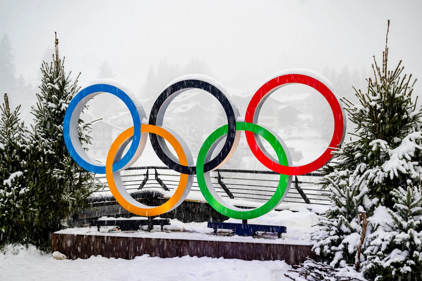 Pięć kolorowych kół olimpijskich ustawionych na tle ośnieżonych drzew i płotu, całość otoczona zimową scenerią.