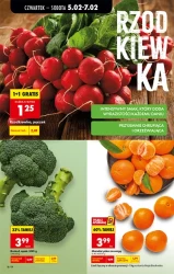 Пропозиція з четверга - Божа корівка