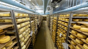 Ukraina zmaga się ze zwiększonym importerm zagranicznych serów